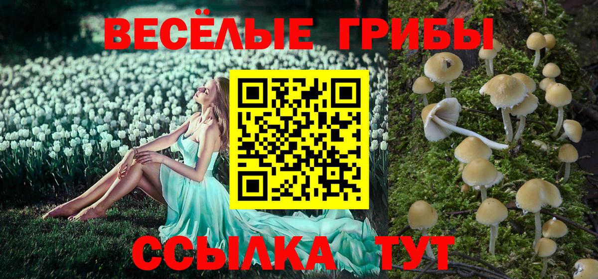 Воткинск  Галлюциногенные грибы прущие грибы  Вход с VPN 